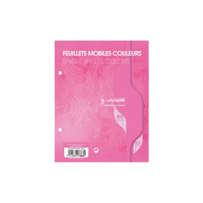 Image de Feuillets mobiles - Perforés 2 trous - 17 x 22 - 80 g - Seyes - Rose - Paquet de 100