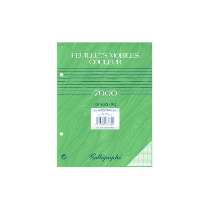 Image de Feuillets mobiles - Perforés 2 trous - 17 x 22 - 80 g - Seyes - Vert - Paquet de 100