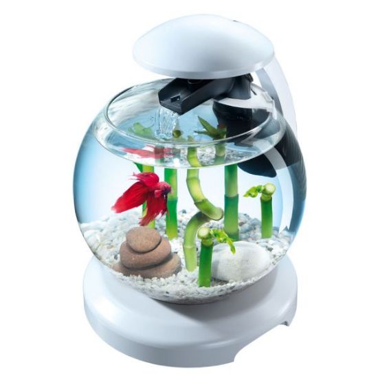 Aquarium Tetra Cascade Globe Blanche