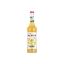 Image de Concentré de Rantcho Citron - Monin - 70cl