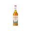 Image de Sirop d'Agave - Monin - 70cl