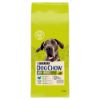 Croquettes chien Purina Dog Chow Adult Large Breed Dinde 14 Kg