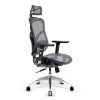 Fauteuil Ergonomique Diablo V-Basic Noir-Gris