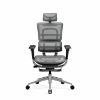 Fauteuil Ergonomique Diablo V-Master Noir-Gris