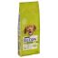 Croquettes pour chien adulte Purina Dog Chow Adulte Agneau – 14 kg