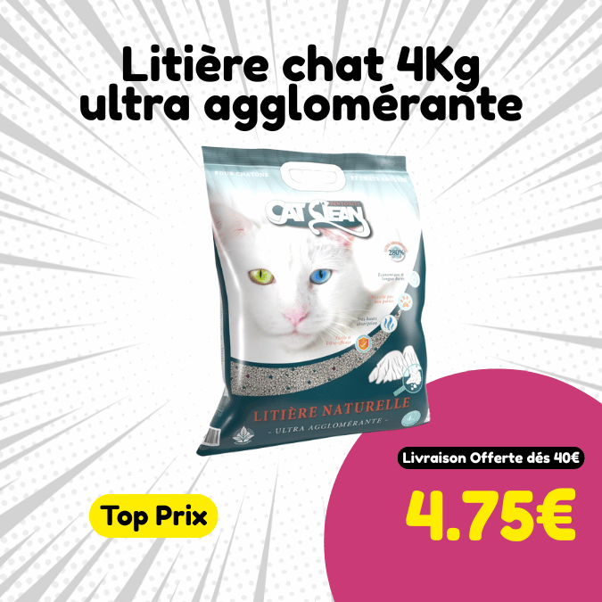 Litière chat